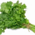 coriander