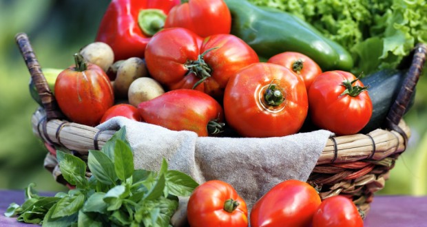 Potager en septembre