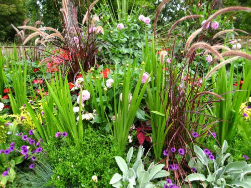 Septembre au jardin d’ornement