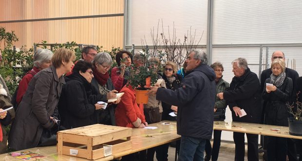 atelier taille des rosiers