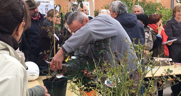 atelier taille des rosiers Riera