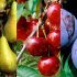Avril au jardin fruitier – la taille