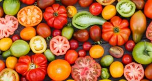 Guide de variété de tomates