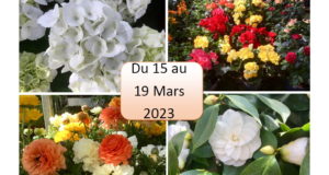 -15%  sur l’ensemble du magasin et végétaux
