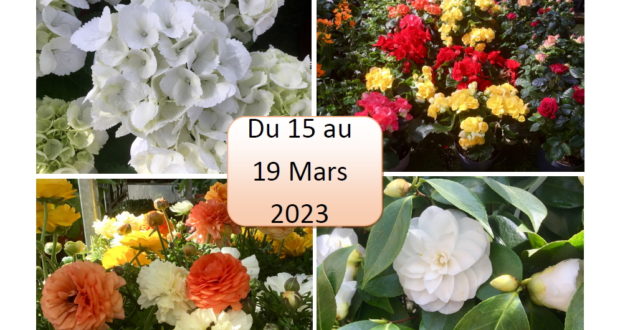 -15%  sur l’ensemble du magasin et végétaux
