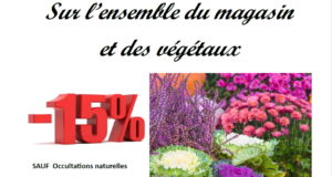 Du 06/10/25 au 12/10/25 -15% sur l’ensemble du magasin et végétaux