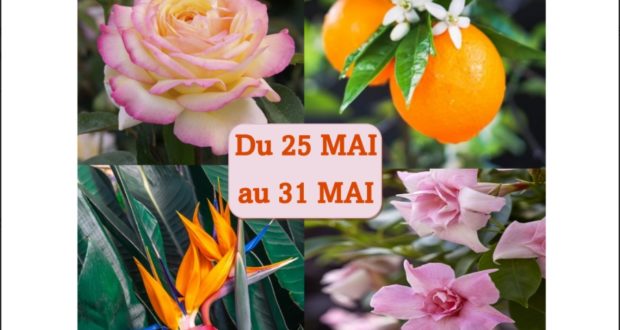 Promo -25-31 Mai-15% à la JARDINERIE RIERA