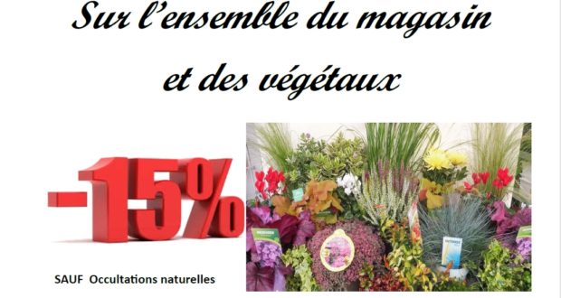 -15% sur l&rsquo;ensemble du magasin 12/10/26 AU 18/10/26